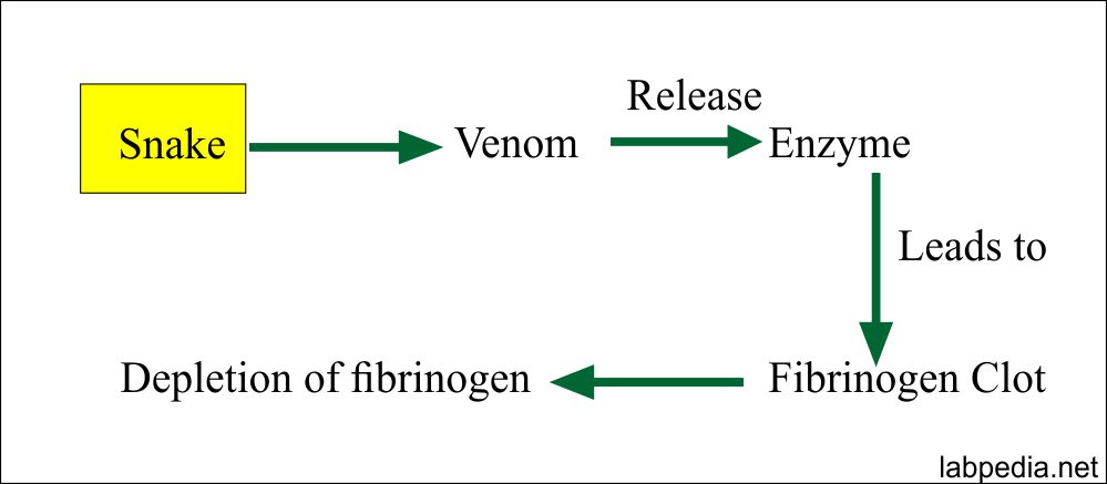 Acute Phase Protein – Part 5 – Fibrinogen (Factor 1)