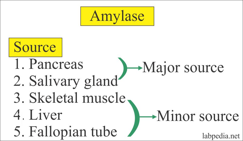 amylase-level-serum-labpedia