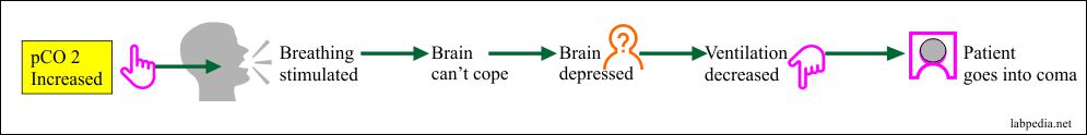 pCO2 increased and body response pCO2 increased and body response