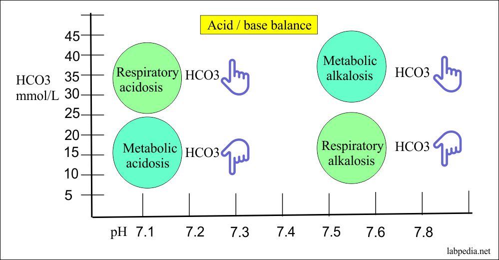 Summary of the Acid-base balance
