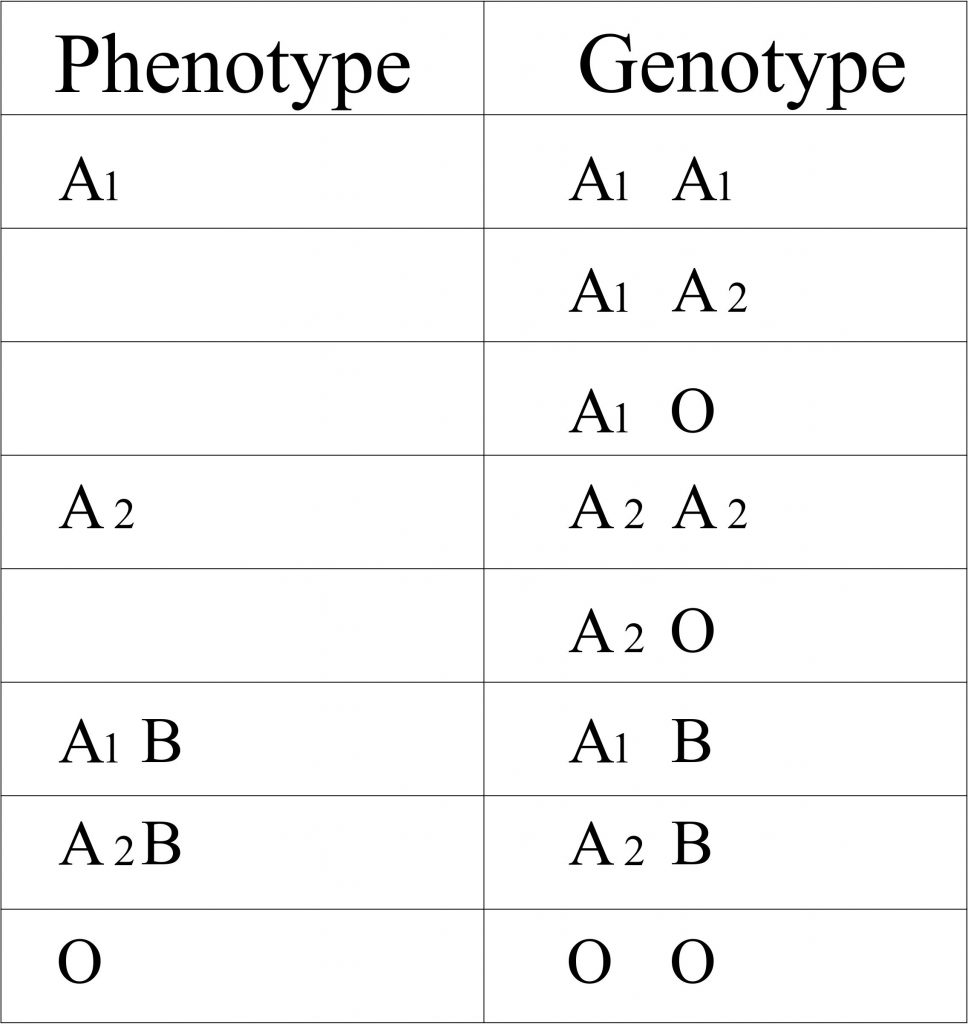 Blood Banking Part 1 Blood Groups Abo And Rh System Blood Grouping Procedures Labpedia Net