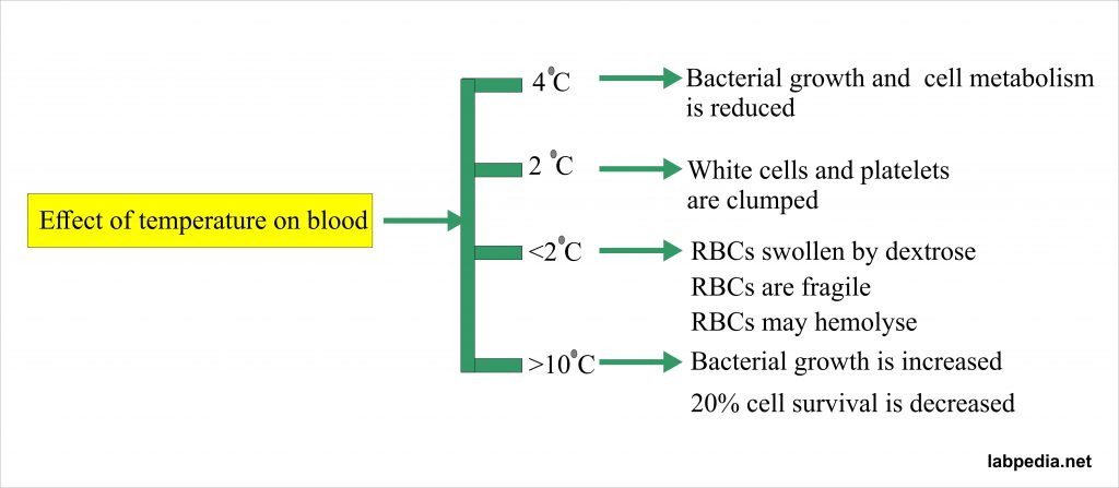 Blood banking:- part 3 – Blood Donation Procedure, Blood Components and Their Indications