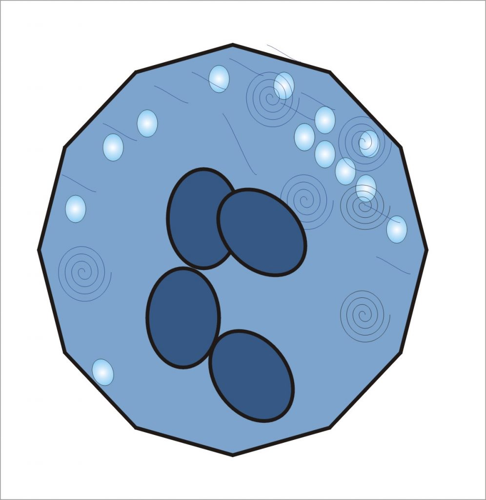 Bone Marrow Aspiration and Trephine Biopsy Part 1