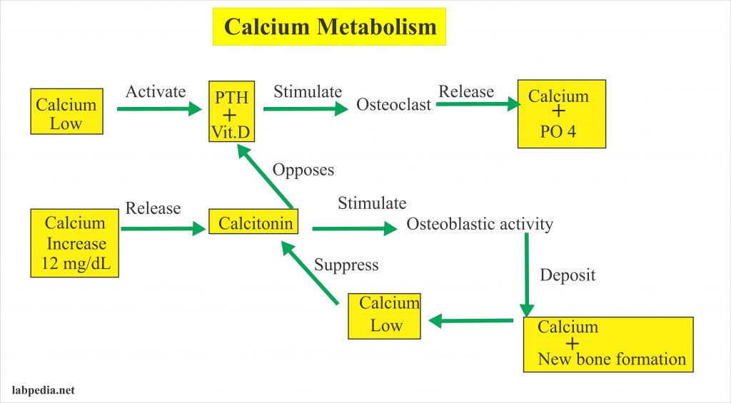 Calcium – Calcium Total , Serum Calcium Part 1 – Labpedia.net