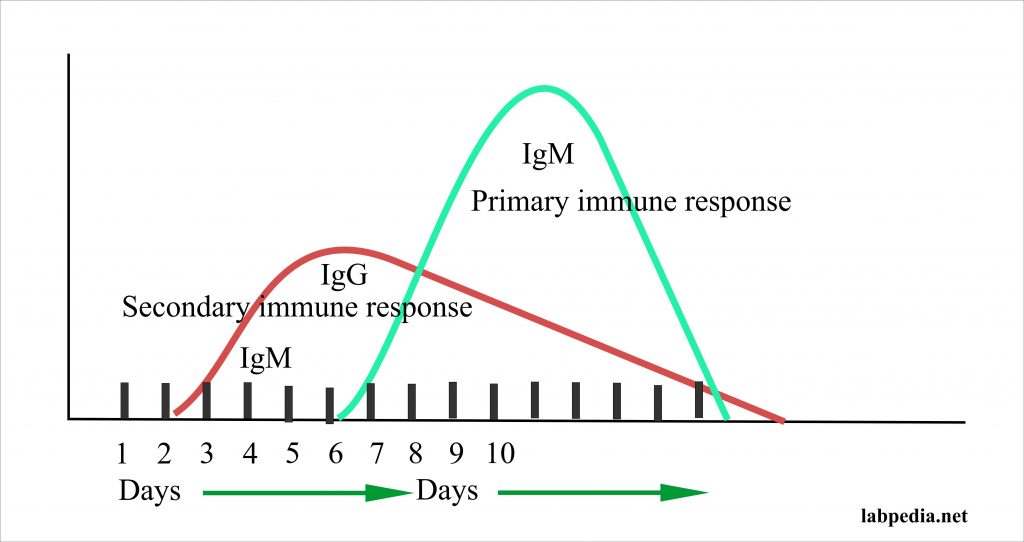 Coombs’ Test Part 1 Coombs’ Direct, DirectAntiglobulin test