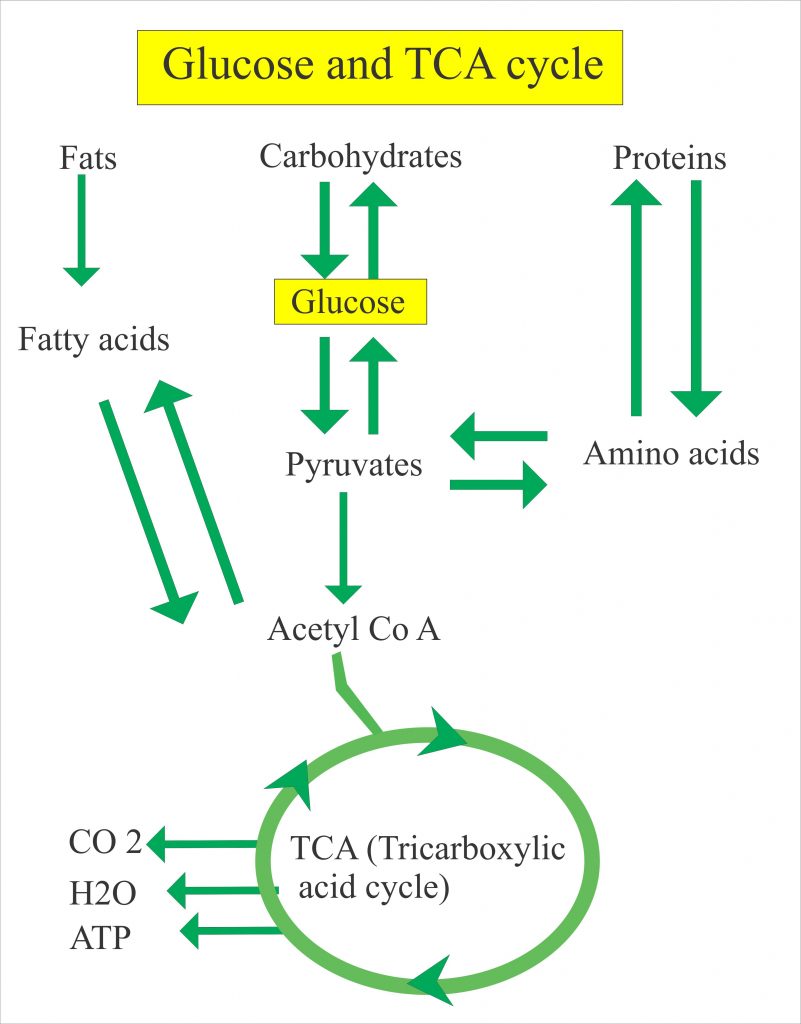Diabetes mellitus - Part 2 - Glucose Random (Diabetes mellitus
