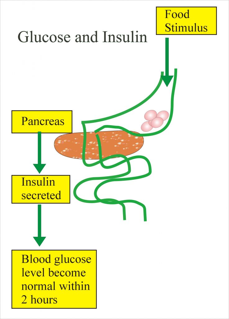 Diabetes Mellitus:- Part 9 – Glucose Random (Diabetes mellitus)