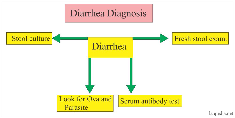Diarrhea Part 1 Lab findings