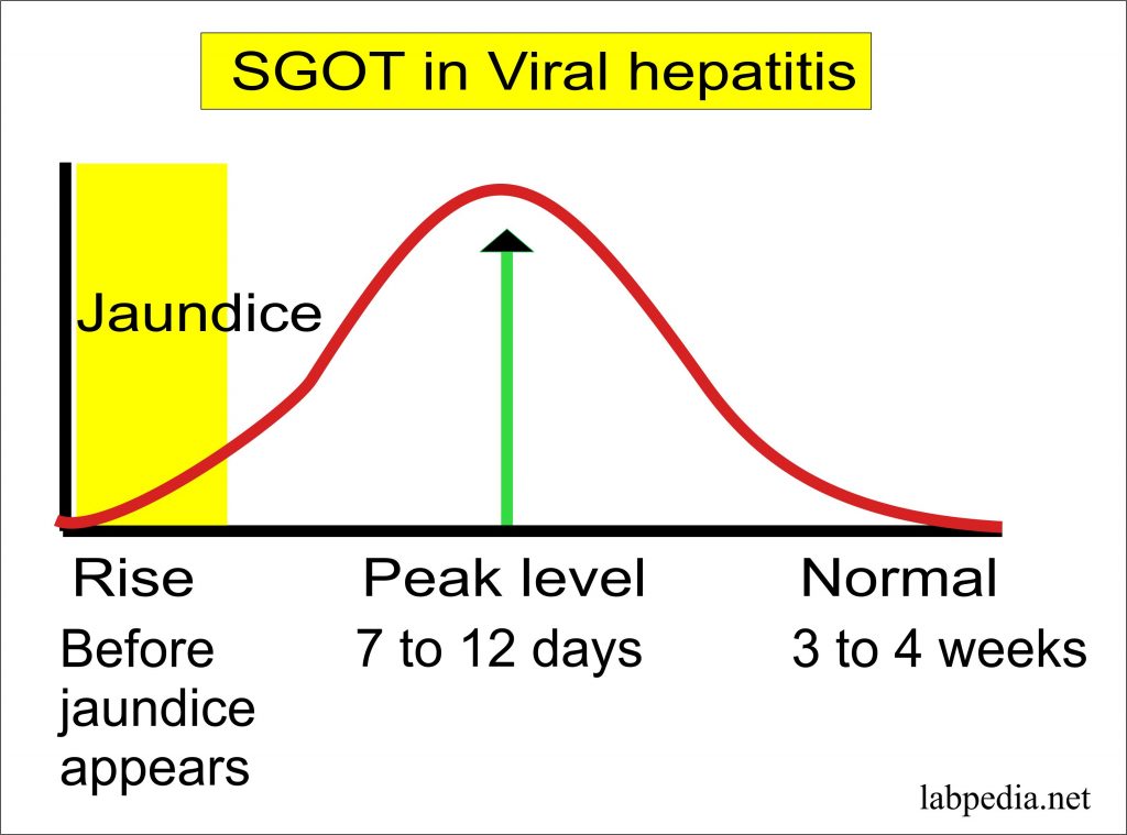 Enzymes Part 2 Diagnostic Values of various enzymes