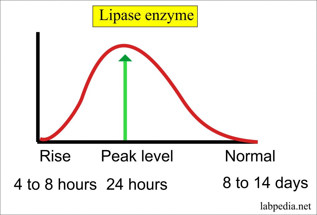Enzymes – Part 3 – Diagnostic value of the Enzymes in Various Diseases