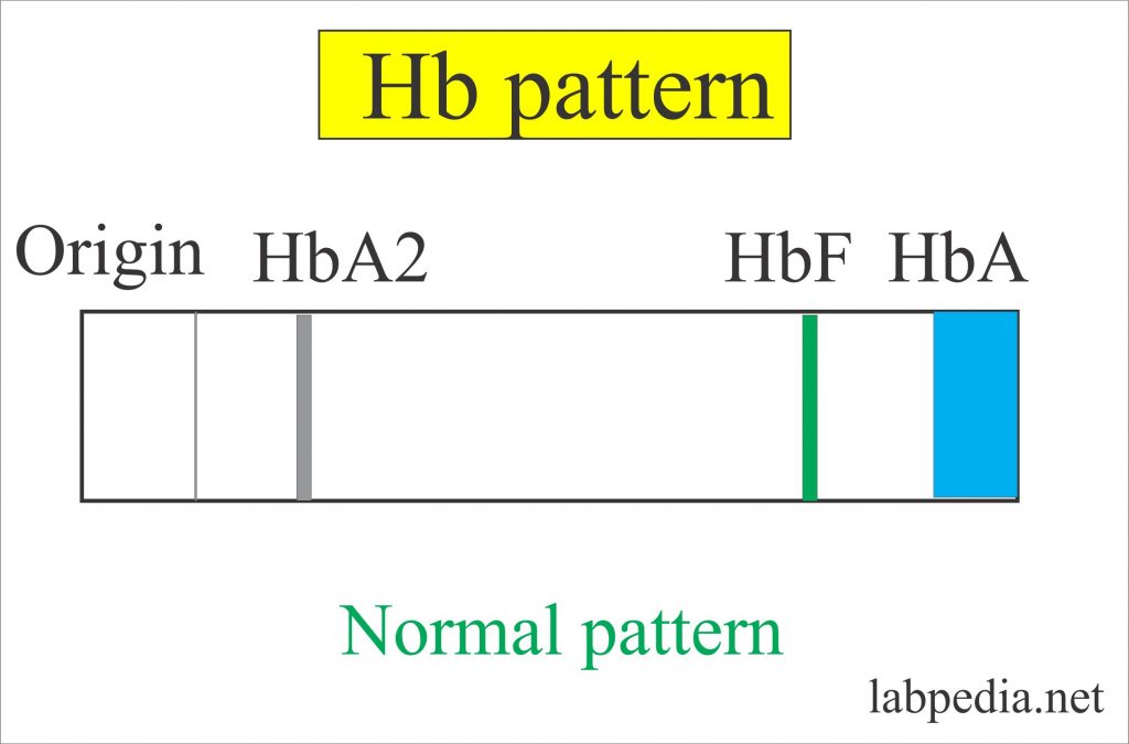 الهيموجلوبين الجنيني المقاوم للقلوية Hbf الهيموجلوبين الجنيني المقاوم للقلوية Hbf Labpedia Net