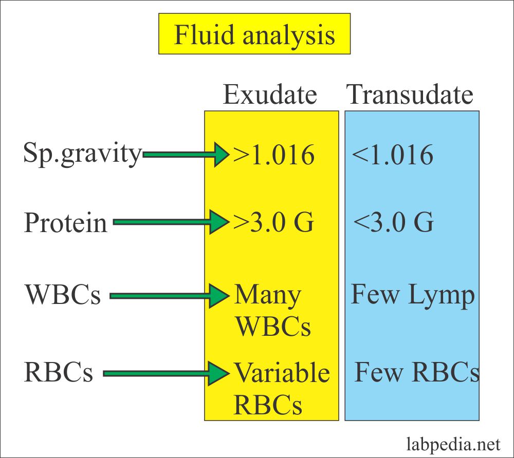 Fluid Analysis Part 4 Ascitic fluid, Peritoneal tap, abdominal