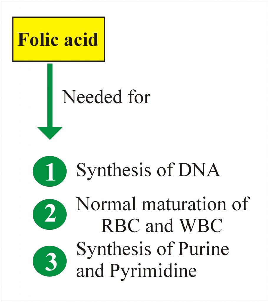 Folic Acid and Folate