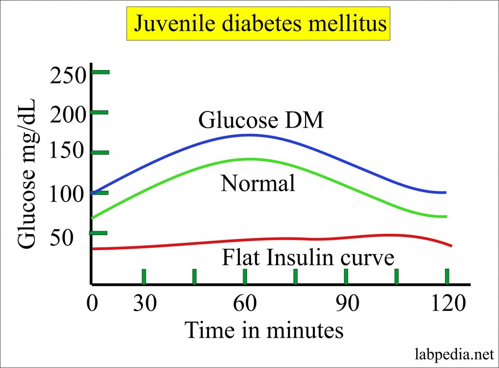 Insulin level (Insulin Assay)