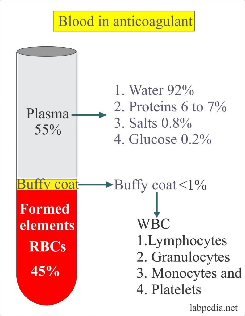 Laboratory Serum or Plasma Preparation (Specimen Separation and