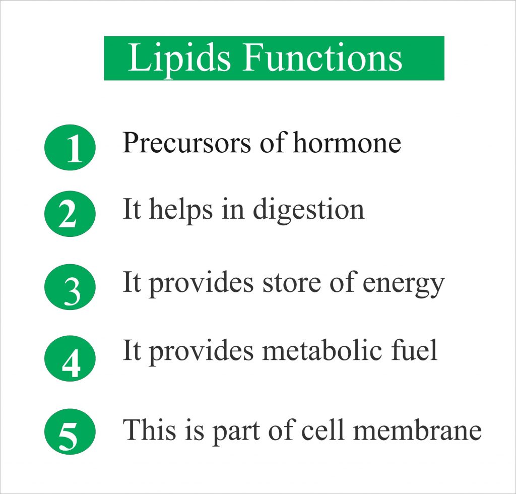 Lipids Total
