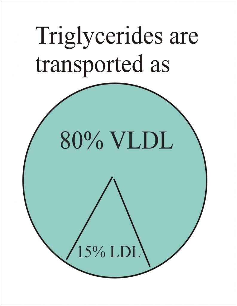 Lipoprotein Part 5 Triglycerides (TG)