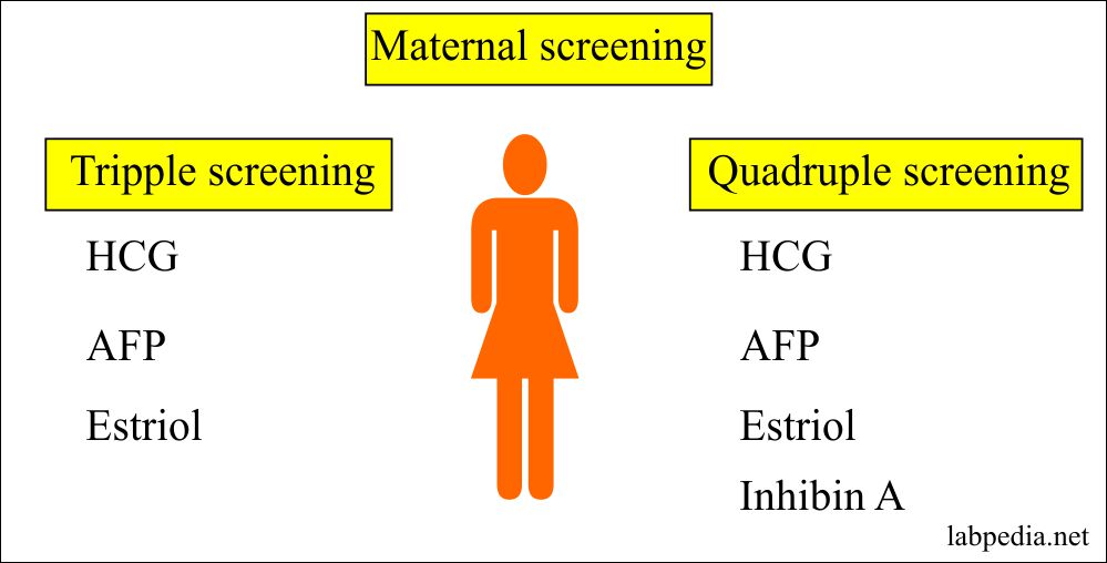 Maternal Screening