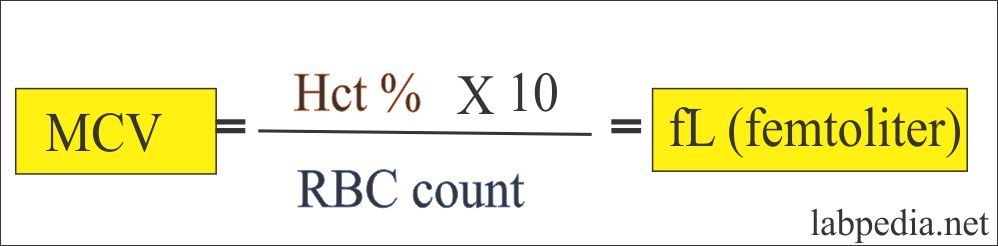MCV calculation Formula 