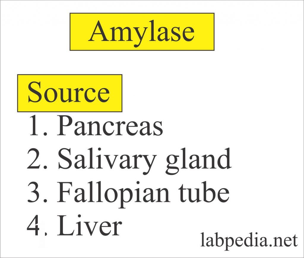 Sources of Amylase