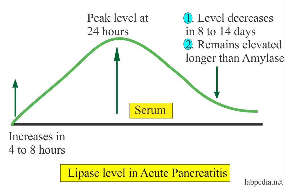 Lipase level in the Acute Pancreatitis