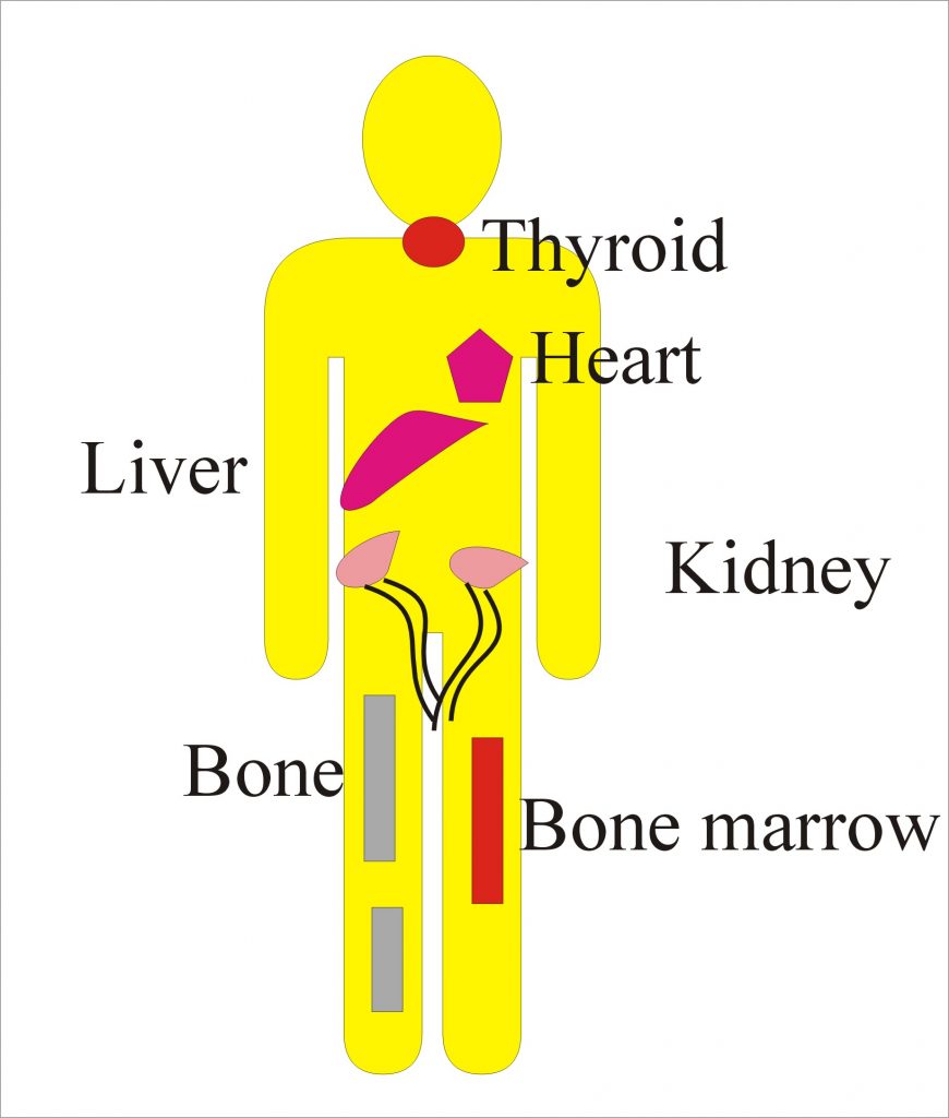 Panel of Tests For Various diseases and Organs