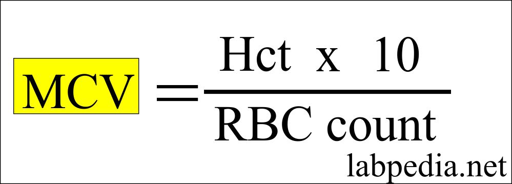 MCV calculation formula MCV calculation formula