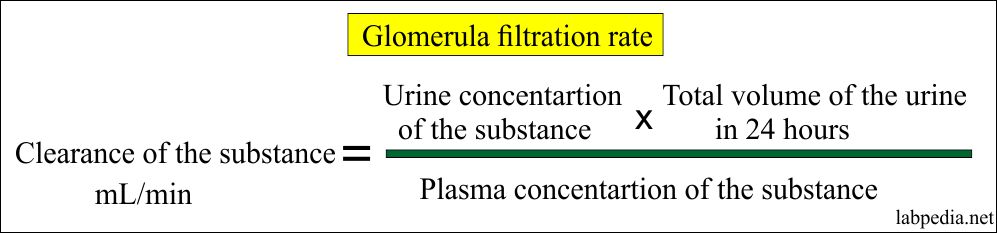 Formula for the glomerular filtration rate