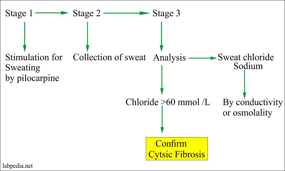 Cystic Fibrosis Diagnosis