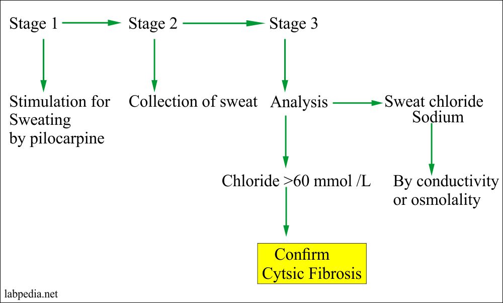 Sweat Electrolytes, Cystic Fibrosis and its Diagnosis