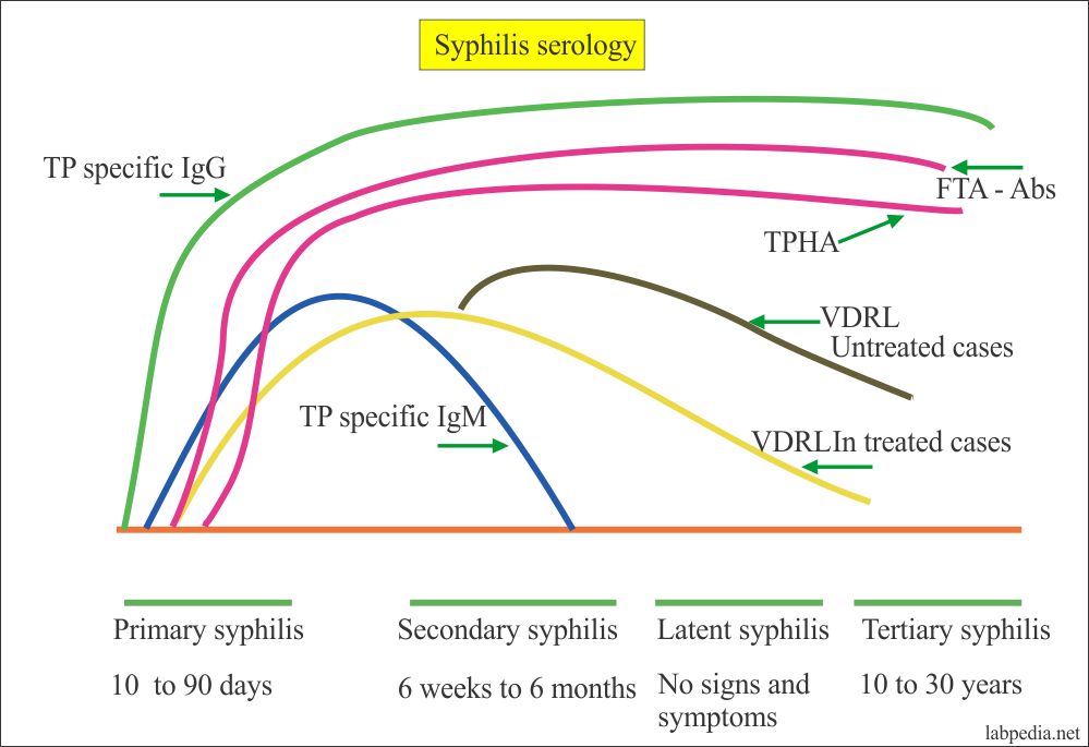 Serologically Negative