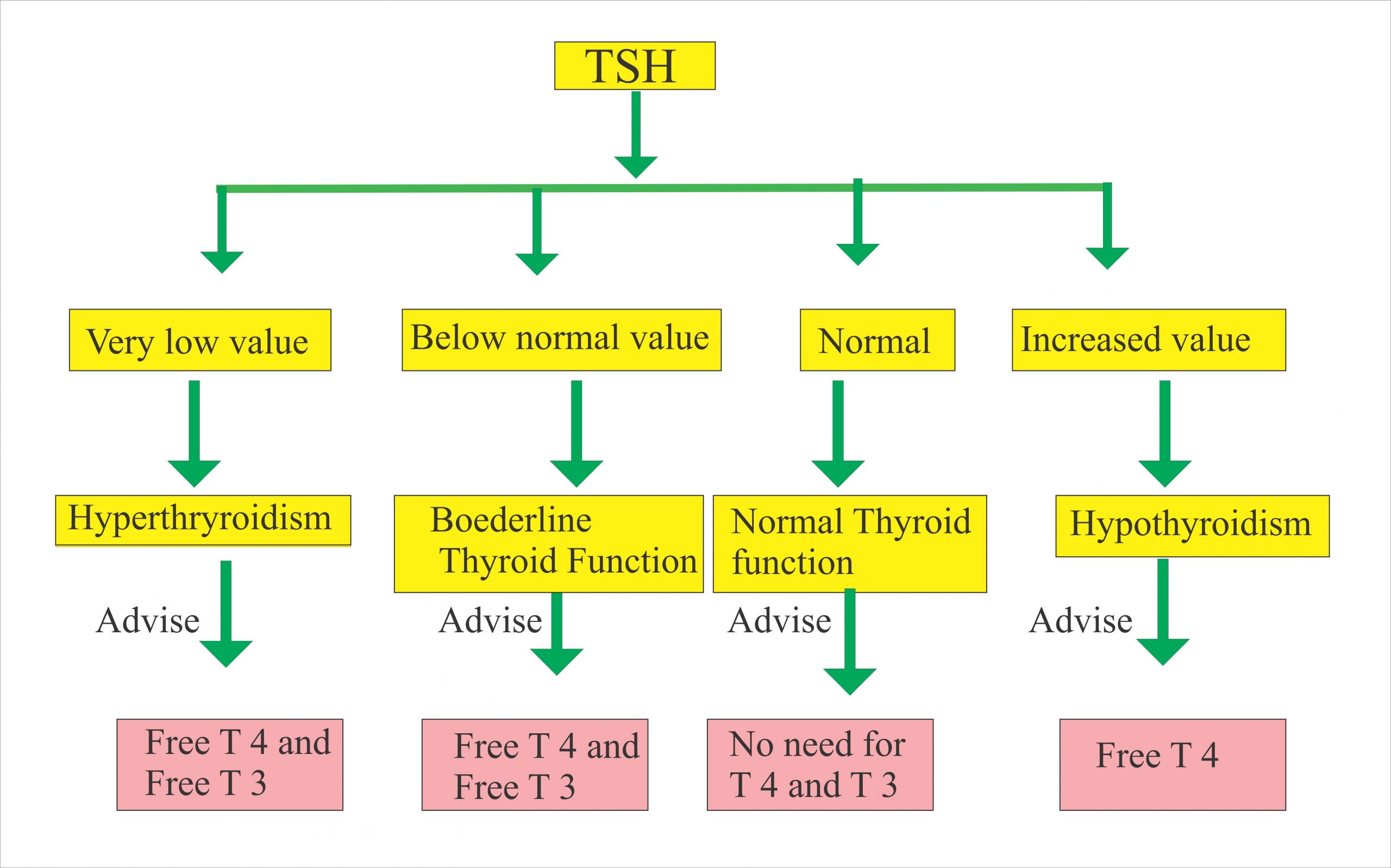 T 3 page. TSH normal range. Thyroid stimulating Hormone, t3,t4. TSH t3 t4 normal. TSH Levels.