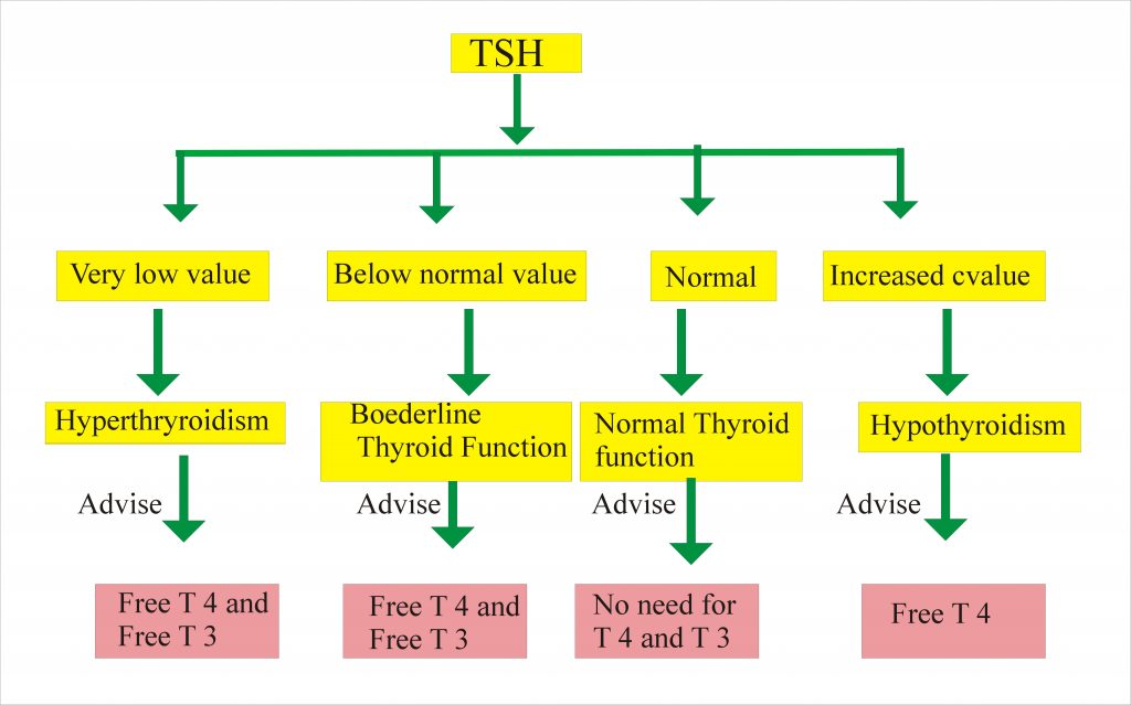 Thyroid – Part 8 – T3 Free , Free Triodothyronine