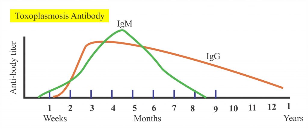 Toxoplasmosis – Part 1 – Diagnosis and Treatment