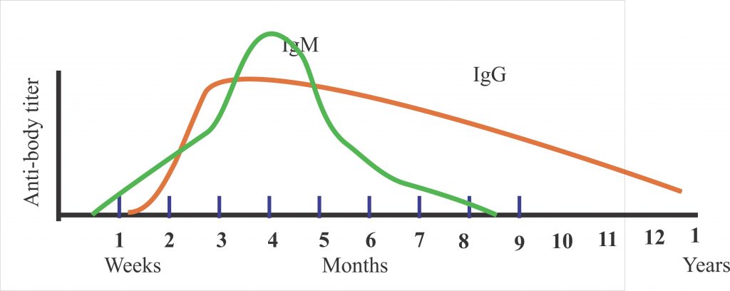 Toxoplasmosis – Part 2 – Disease pattern, Epidemiology, Diagnosis (Toxoplasma gondii)