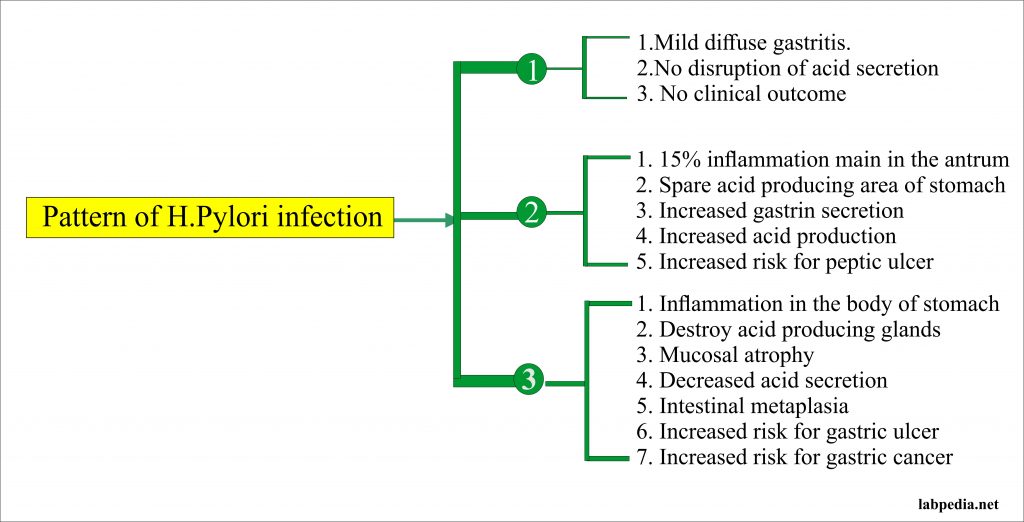 The spectrum of the H. Pylori infection