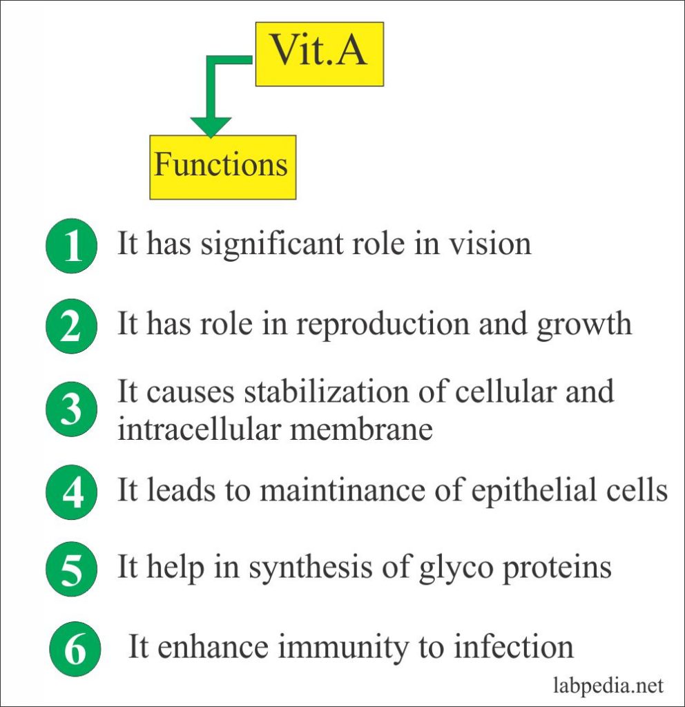 Vitamin A Functions
