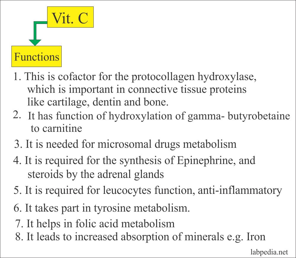 Vitamin C Functions