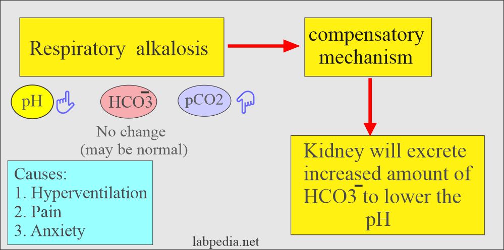 Acid base Balance Part 3 Respiratory Acidosis And Respiratory 