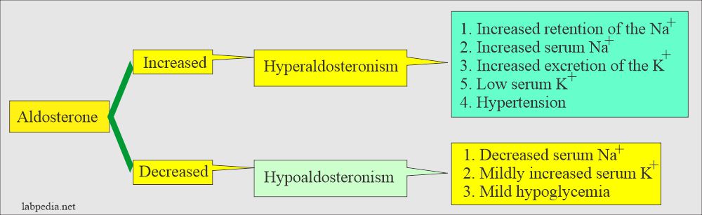 Aldosterone hormone function and S/S