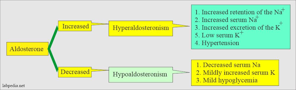 Aldosterone function and S/S