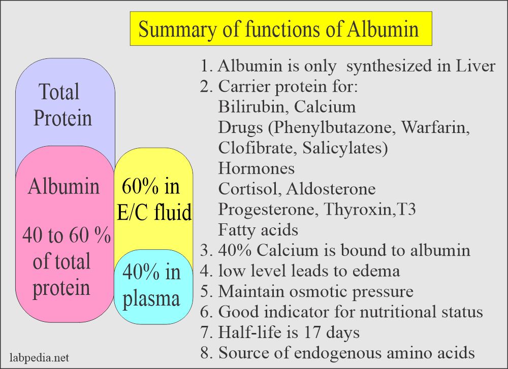 Albumin functions summary