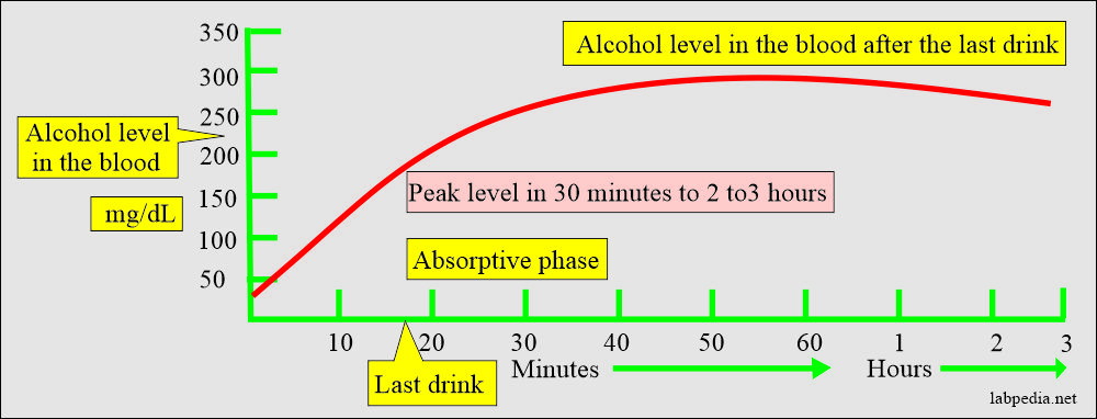 Ethyl alcohol (Ethanol): Alcohol level after last drink