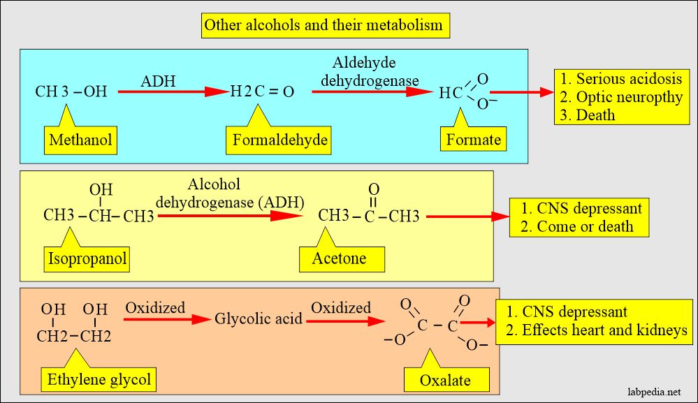 Alcohols types and their toxicity