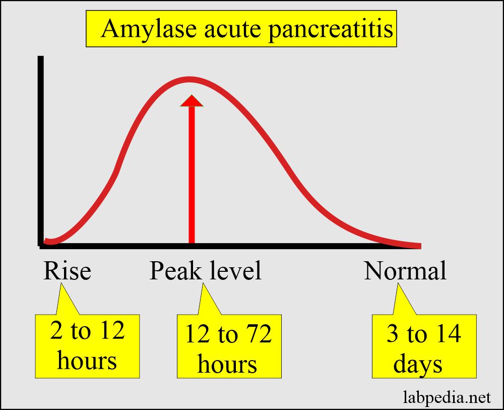 Amylase enzyme pattern in the acute pancreatitis