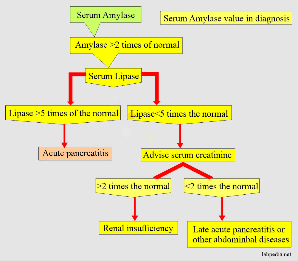 Amylase value in diagnosis
