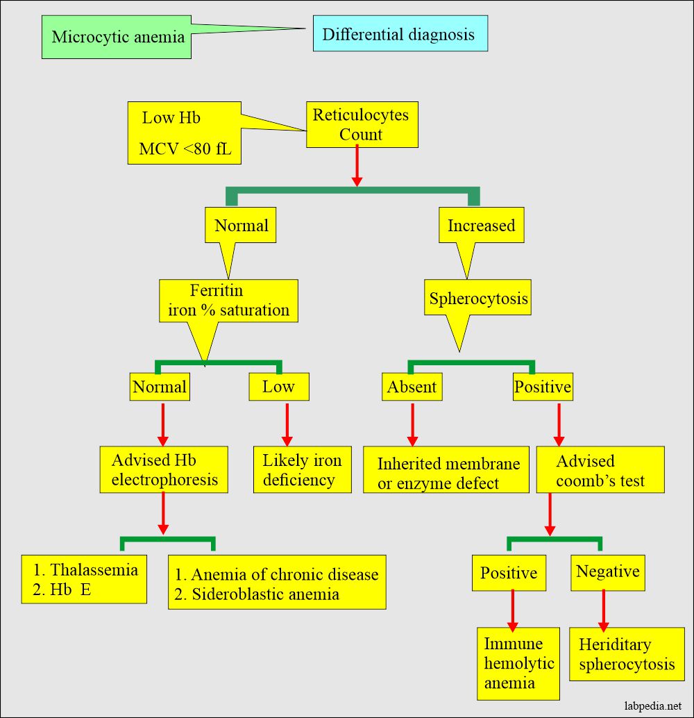 Types Of Anemia Chart