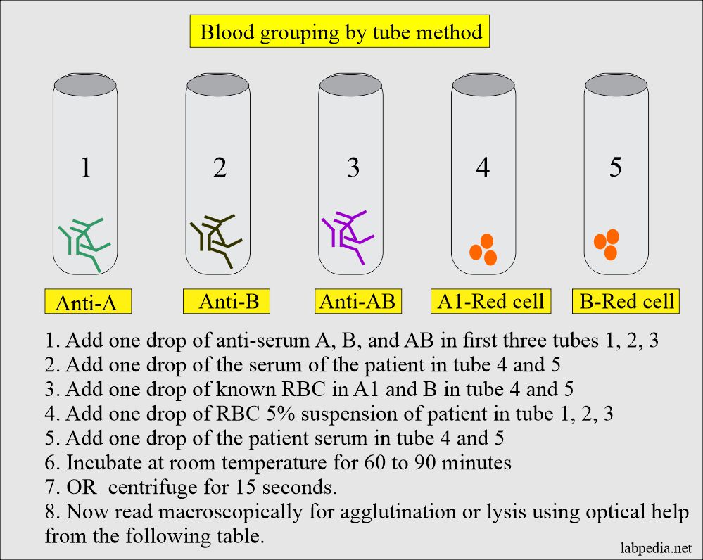 Blood grouping tube method