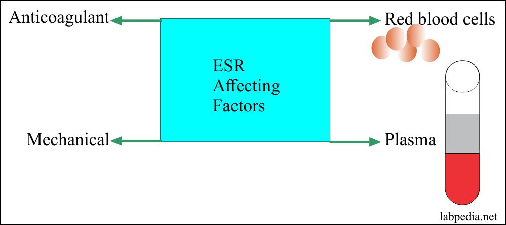 creșterea durerii articulare a ESR