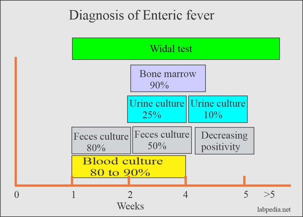 Enteric fever diagnostic tests